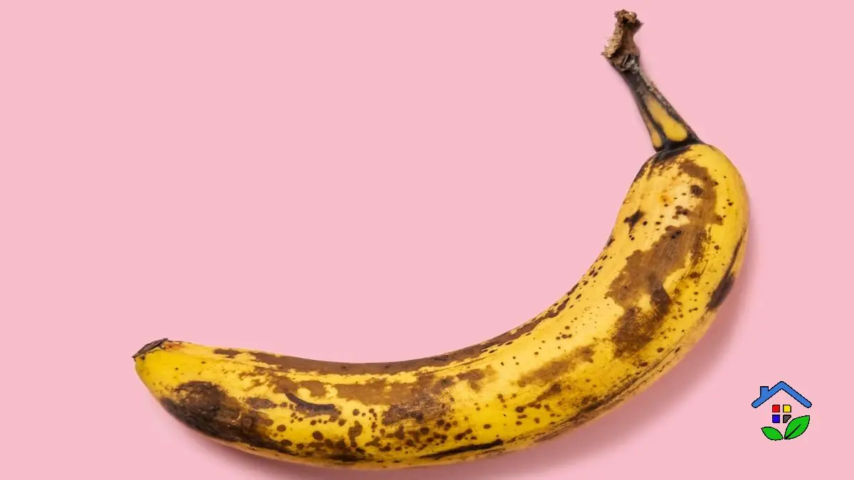 2 Irresistible Ways To Enjoy Ripe Bananas