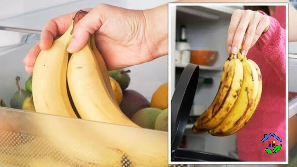 Preserve Your Bananas 4 Secrets for Lasting Freshness