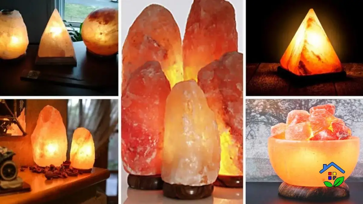 Discover 8 Health Benefits Of Himalayan Salt Lamps