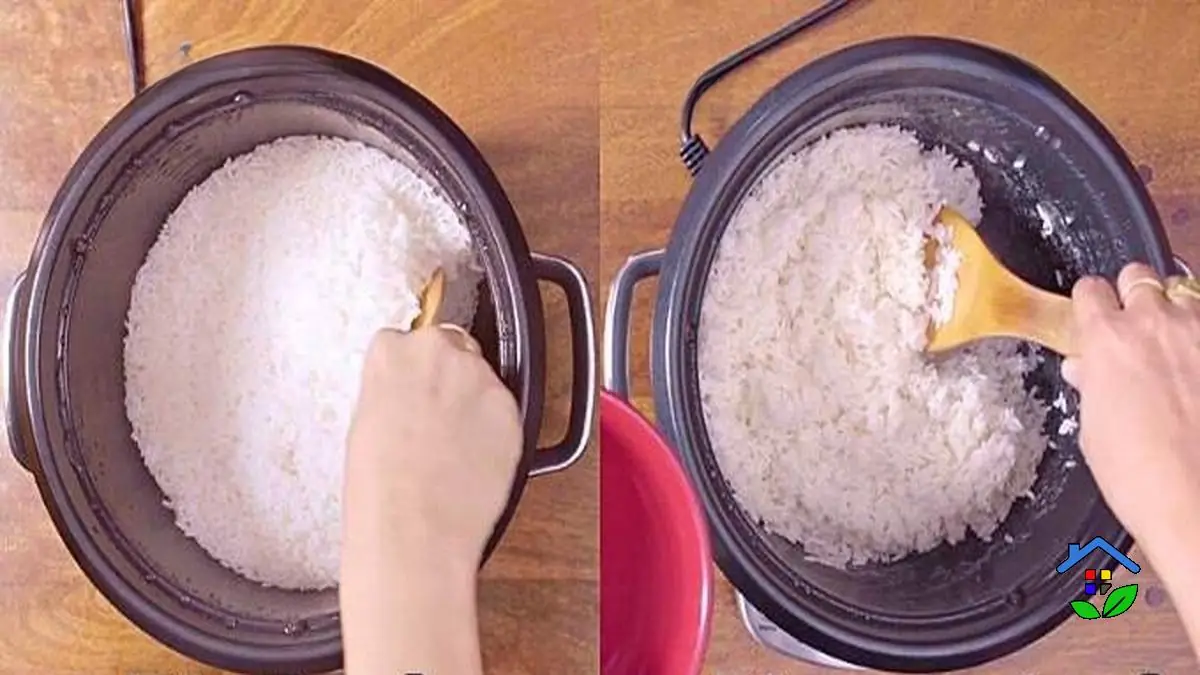 Rinsing Rice: 3 Key Facts You Shouldn't Miss