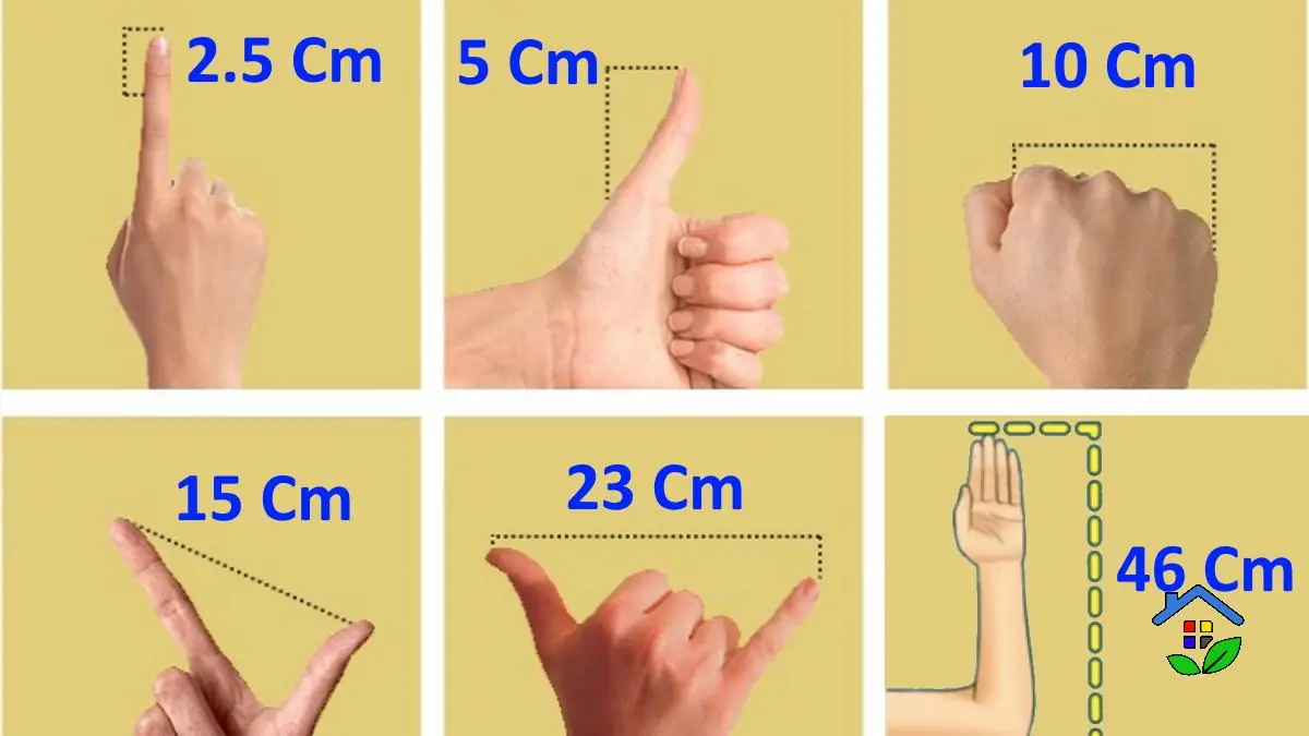 Measure it Up: 4 Clever Ways to Size Objects without a Meter